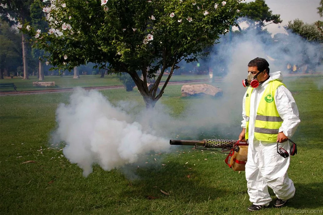 Dengue en la Ciudad: cuando la emergencia le gana a la prevención