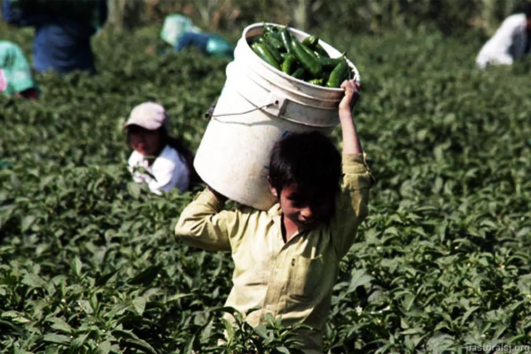 Según una encuesta que realiza la OIT, en Argentina hay más de 1.100.000 menores de 18 años que trabajan.