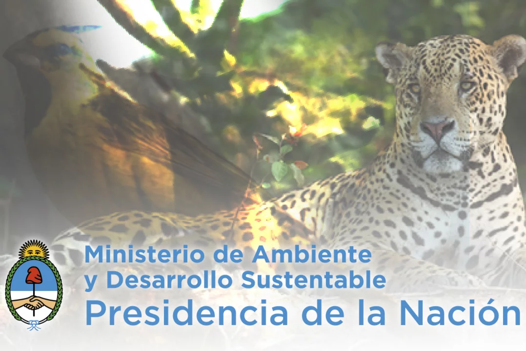 Cómo está hoy el Plan de Extinción Cero