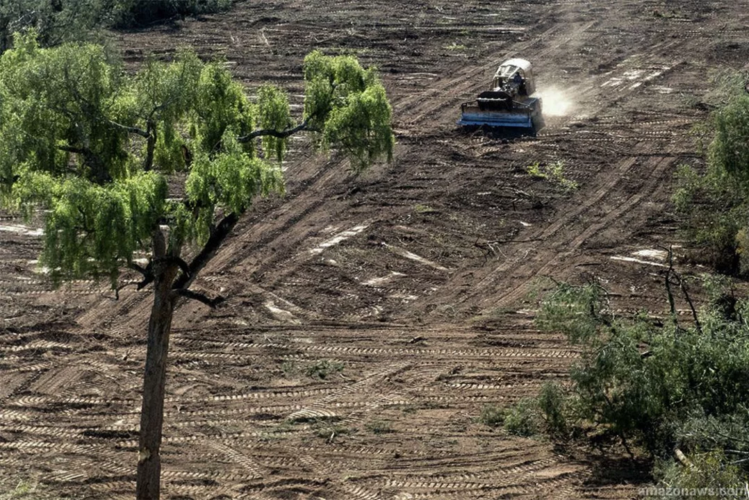 El Estado destina $10 por hectárea para proteger a los bosques