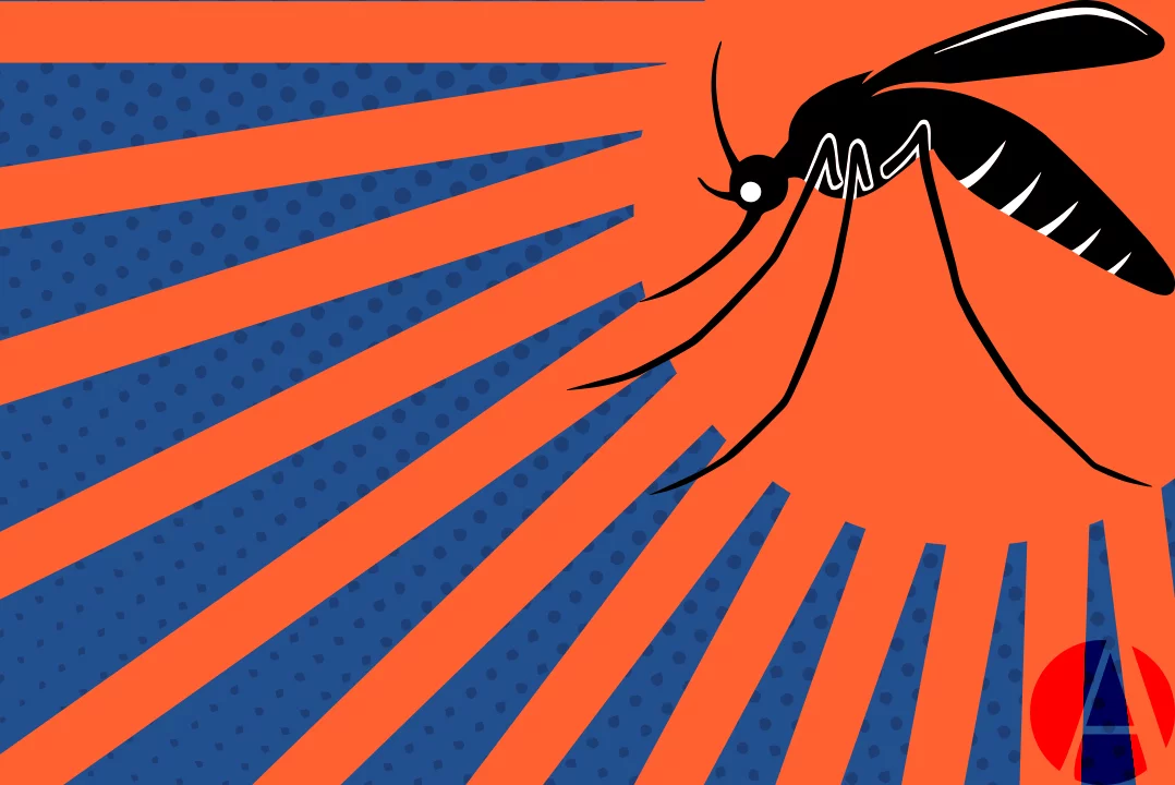 Dengue: por qué la última epidemia fue la más alta en la historia