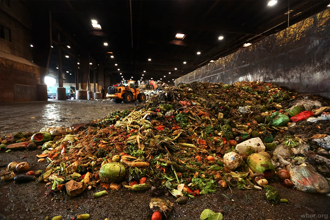 Se desperdicia el 17% de los alimentos disponibles para consumir