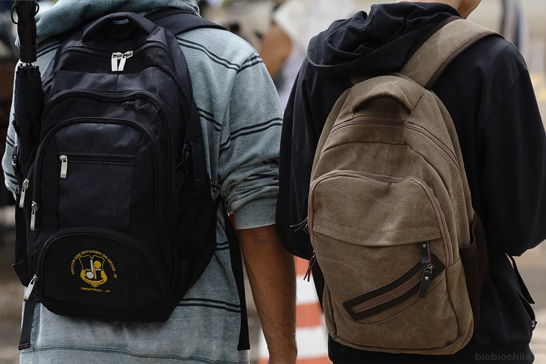 Se registraron caídas en los niveles de escolarización