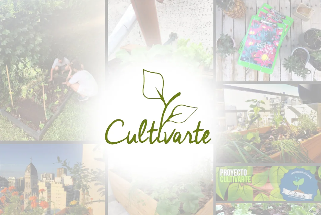 Pensar en verde: qué podemos hacer desde casa para cuidar el ambiente