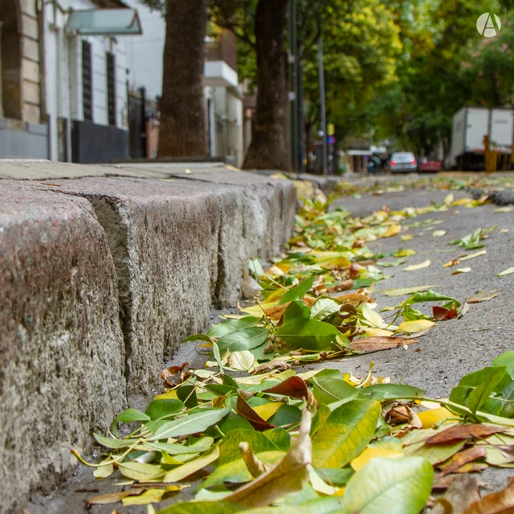 Fotografía: Diego Vinitzca.