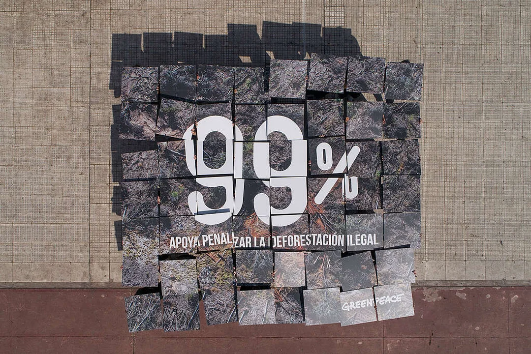 El 99% de los argentinos encuestados están a favor de penalizar la deforestación ilegal.