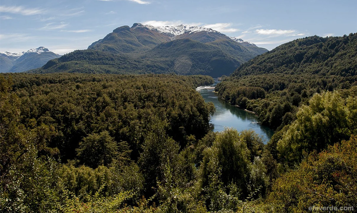La Ley 26.331 establece la necesidad de realizar un ordenamiento territorial de los bosques nativos mediante un proceso participativo.