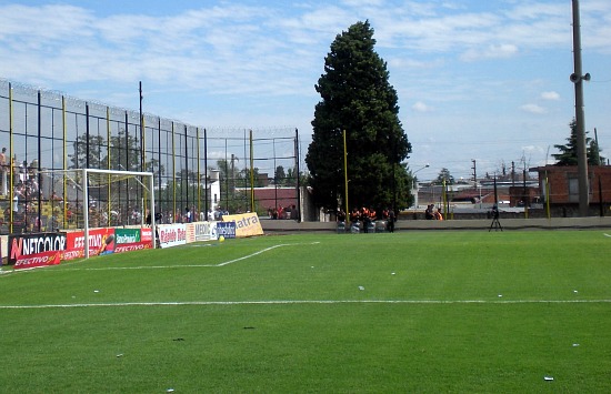 Pasto alto a las fieras