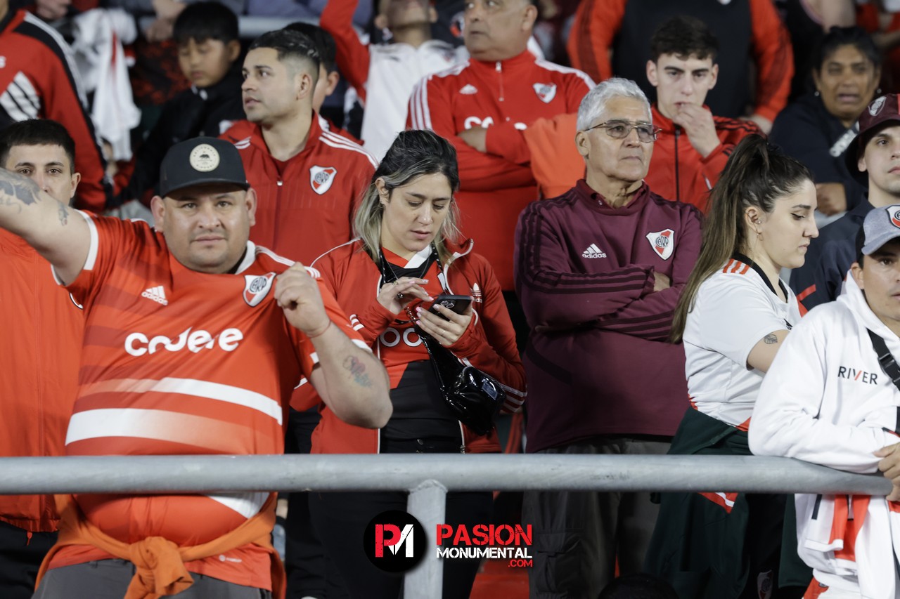 ¡Buscate en la clasificación de River a la semifinal de la Copa Libertadores!
