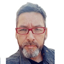 Gustavo Demartin