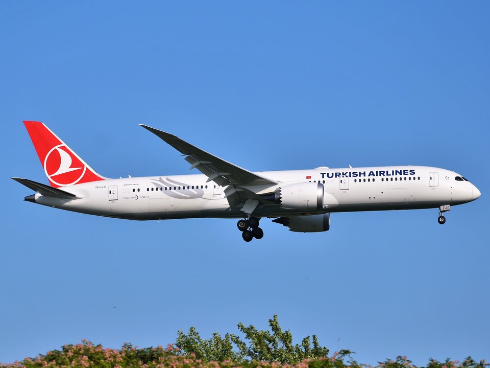 Turkish Airlines reanudará los vuelos directos Estambul–Caracas el 1 de octubre