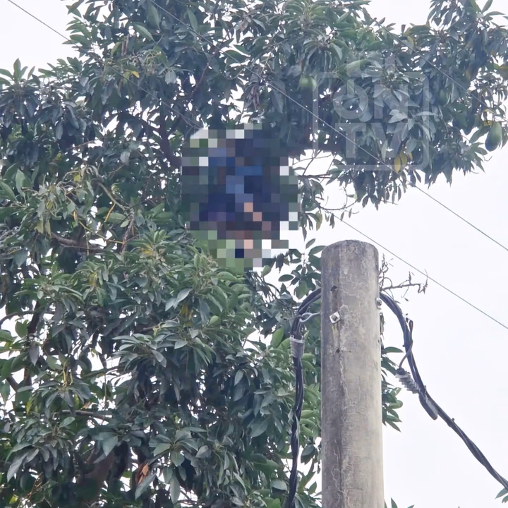 Operativo de rescate y peritajes en curso